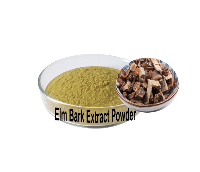 Natural Pure Organic Ulmus Rubra Slippery Elm Bark Extract Powder