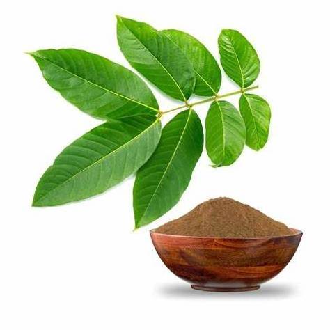 Hot sale Natural Banana Leaf Extract powder food grade