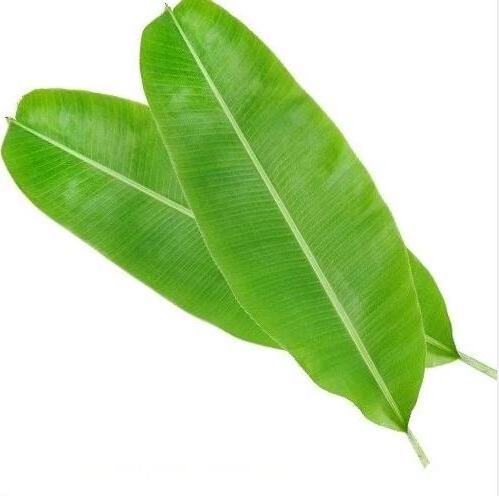 Hot sale Natural Banana Leaf Extract powder food grade