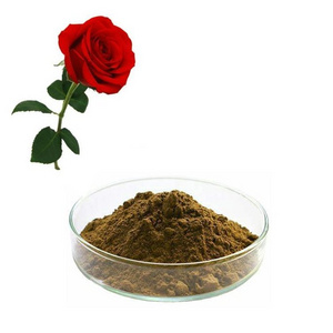 Natural Rose Extract Powder plant extract bulk extract powder