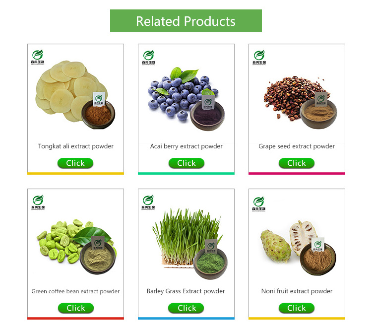 Factory Supply Natural Rosemary Extract Rosemary leaf Extract powder Rosmarinic Acid