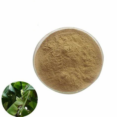 Hot sale Natural Banana Leaf Extract powder food grade