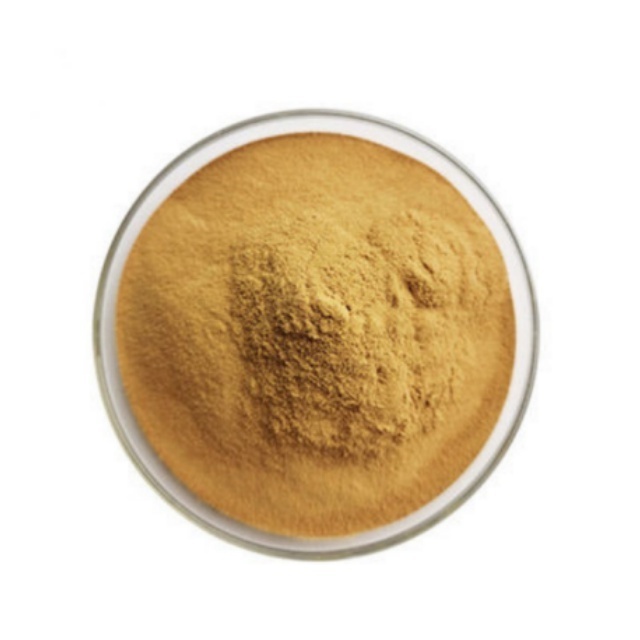 Wholesale Mushroom Extract Agrocybe Aegerita Chaxingu Extract Agrocybe Chaxingu Extract powder