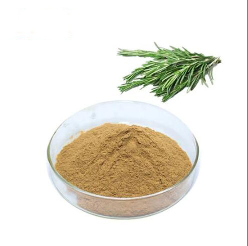 Factory Supply Natural Rosemary Extract Rosemary leaf Extract powder Rosmarinic Acid