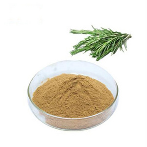 Factory Supply Natural Rosemary Extract Rosemary leaf Extract powder Rosmarinic Acid