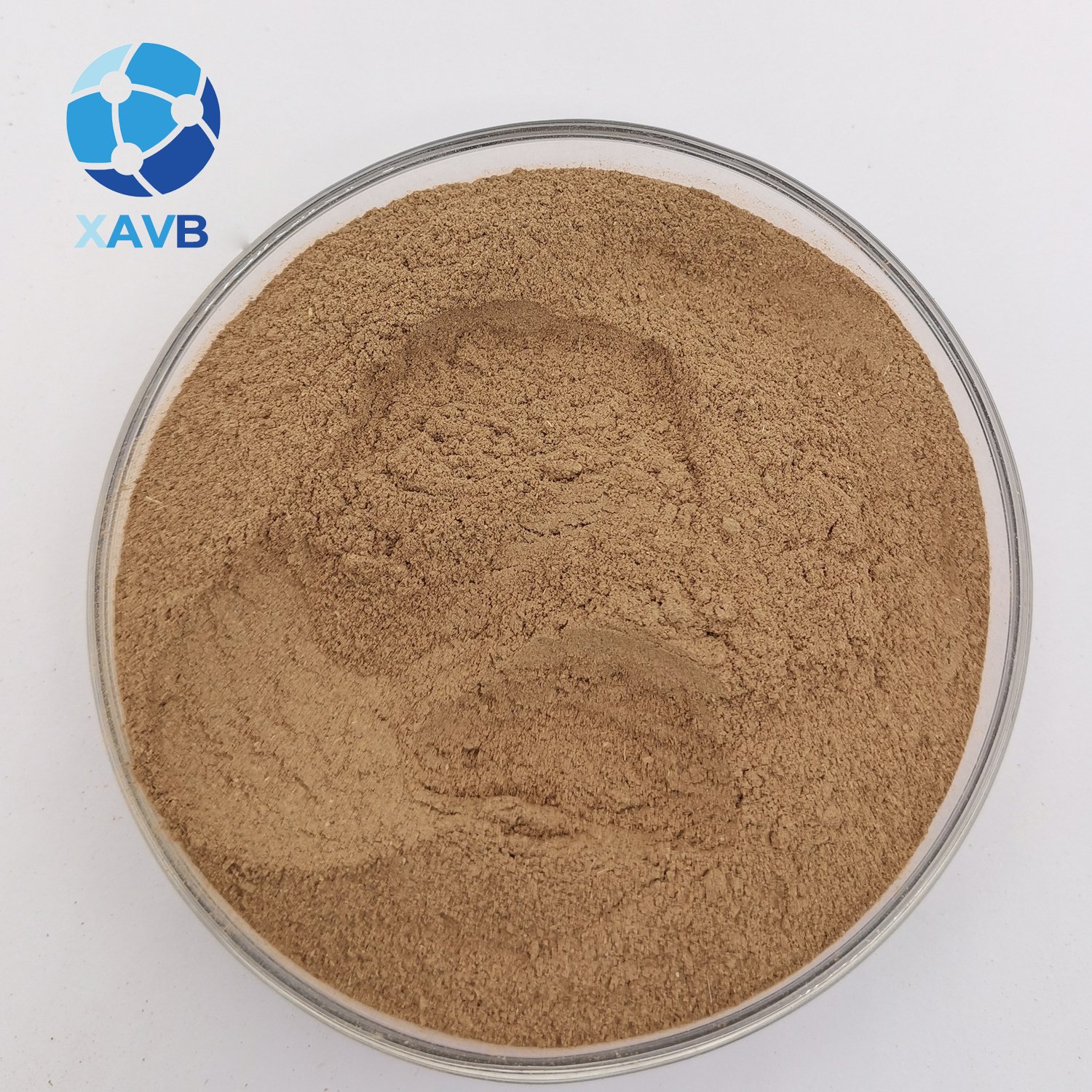 High Quality Organic Guava Leaf Extract Powder