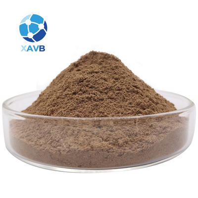 High Quality Natural Eucommia ulmoides extract 98% chlorogenic acid