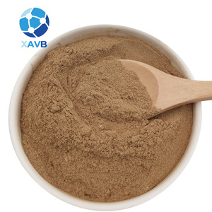 High Quality Organic Guava Leaf Extract Powder