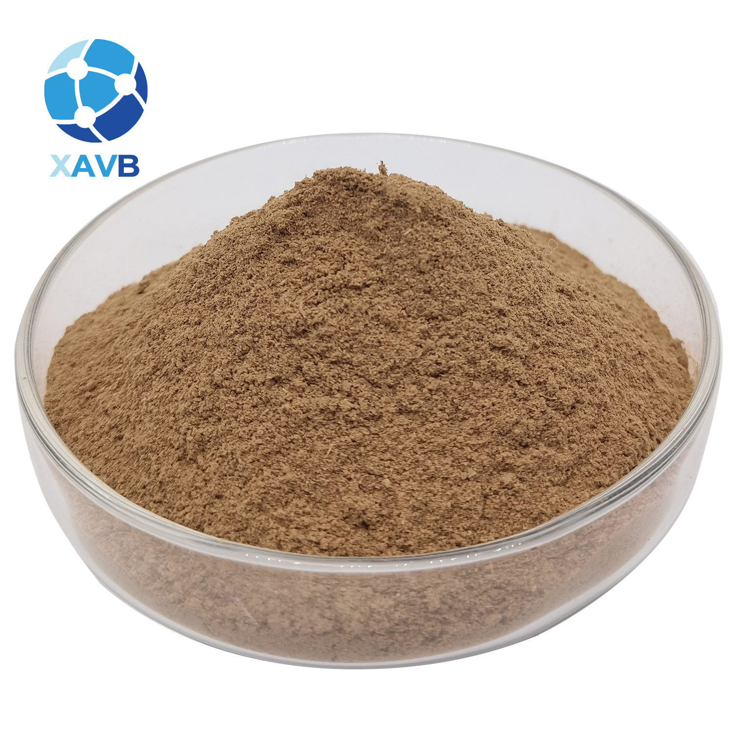 High Quality Natural Eucommia ulmoides extract 98% chlorogenic acid