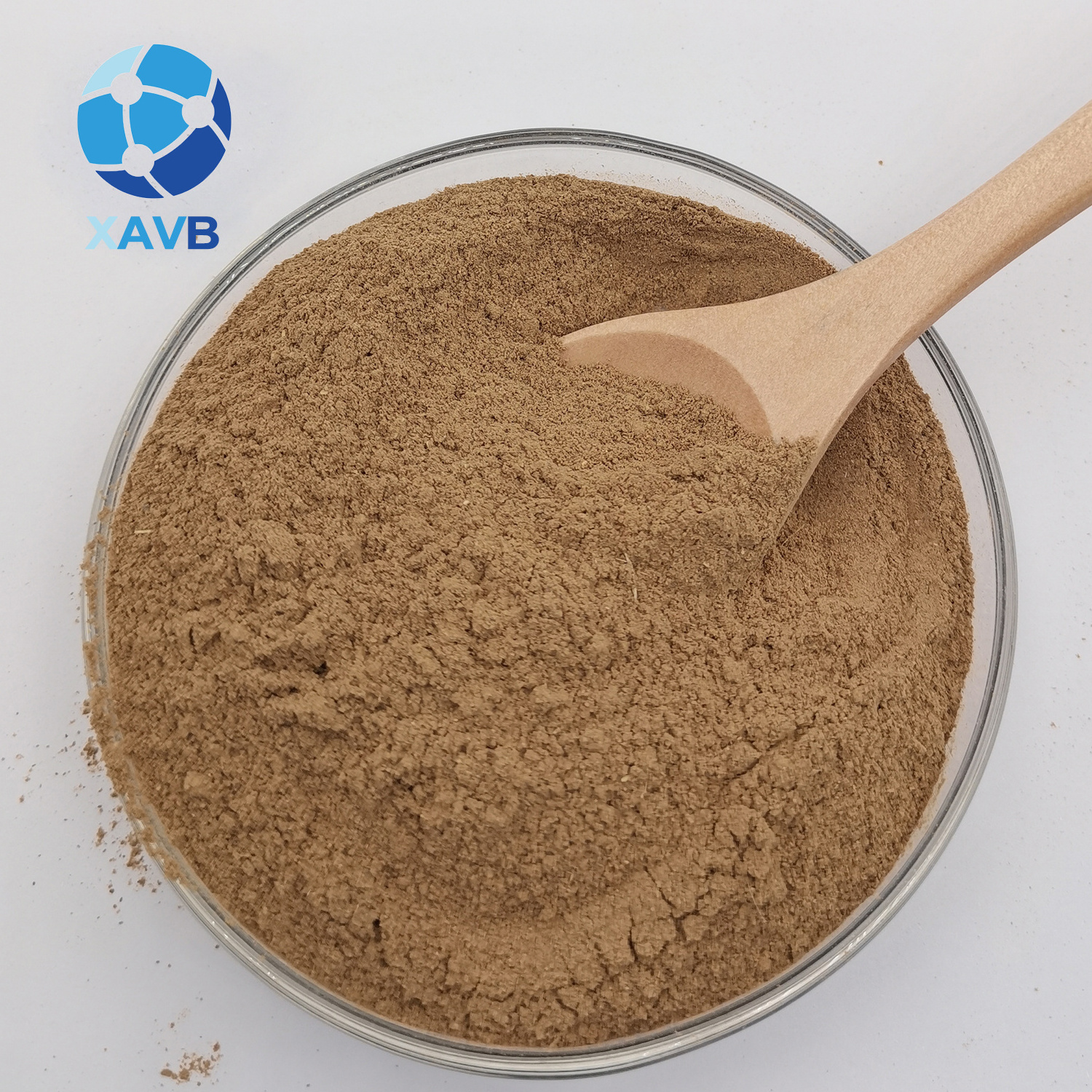 High quality Sophora Japonica Extract 10:1 powder