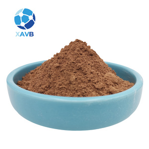 High quality Sophora Japonica Extract 10:1 powder