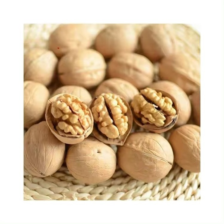 Natural China Cheap Prices Raw Walnut Shell Top Grade Air Dried Walnuts Supplier