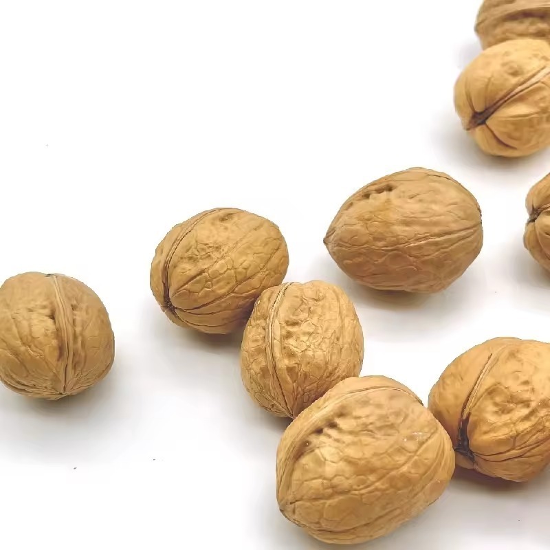 Natural China Cheap Prices Raw Walnut Shell Top Grade Air Dried Walnuts Supplier