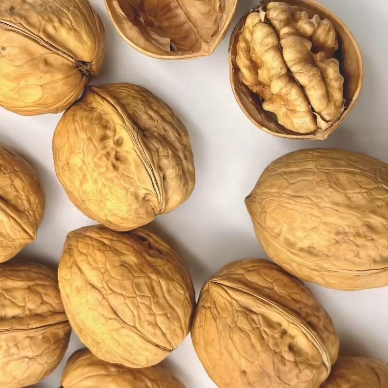 Natural China Cheap Prices Raw Walnut Shell Top Grade Air Dried Walnuts Supplier