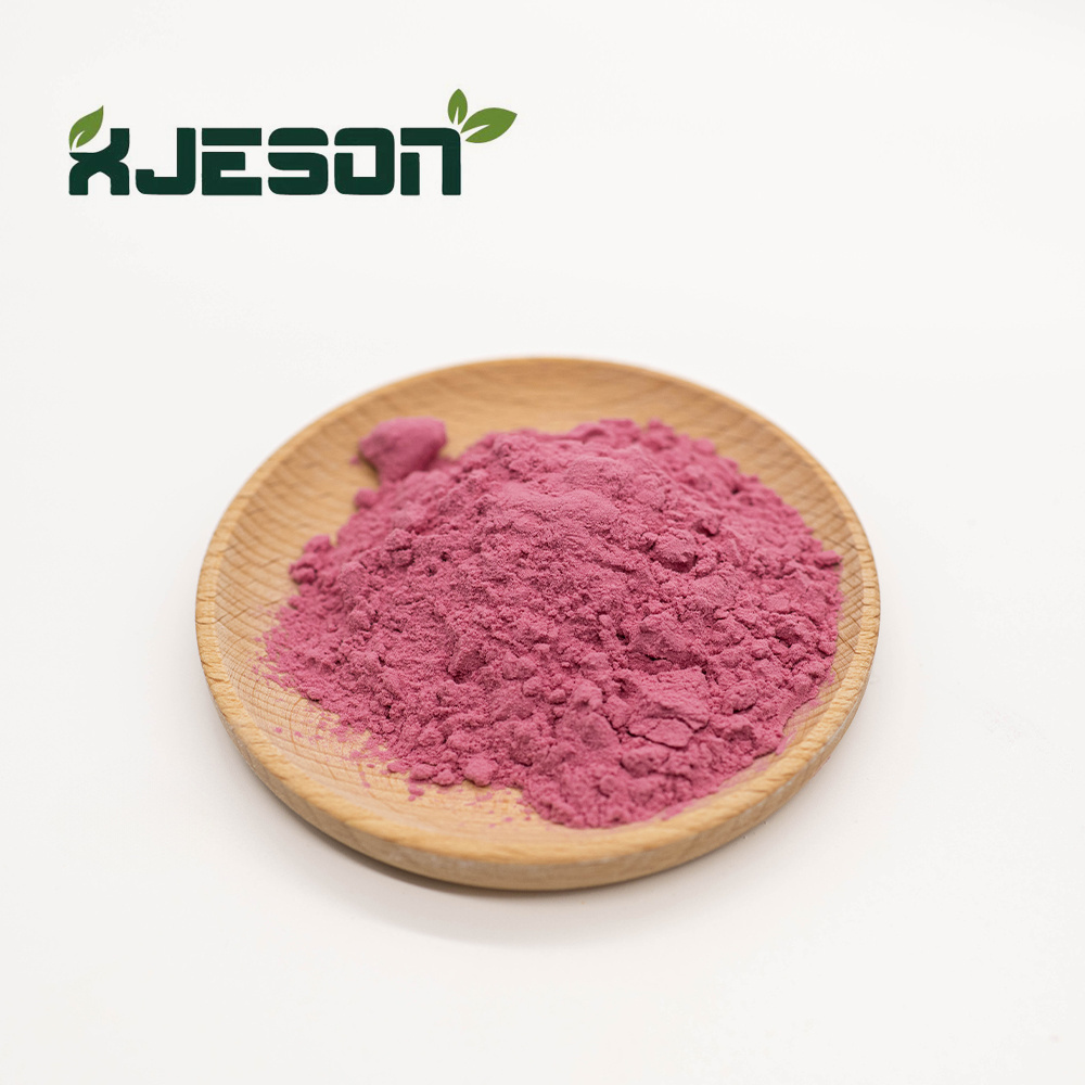 High Quality Aronia Berry Juice powder Wild Cherry Powder Spray Dried Cherry Powder