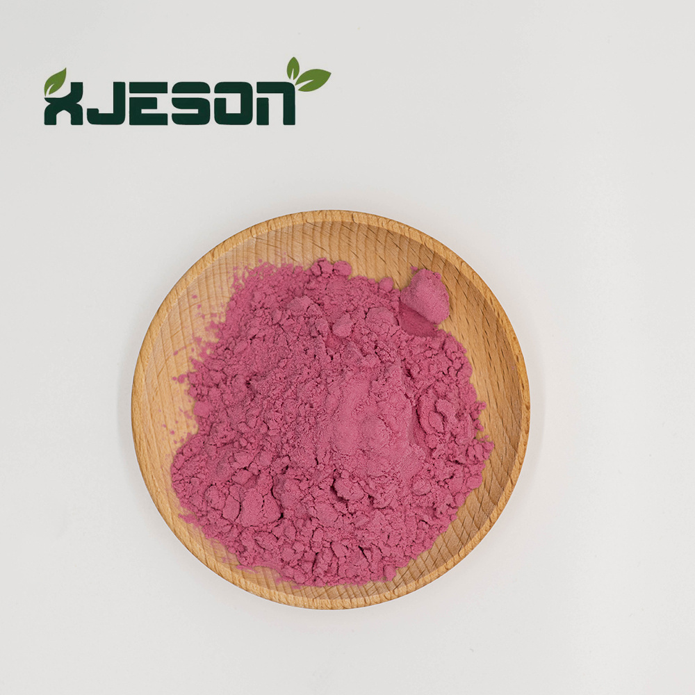 High Quality Aronia Berry Juice powder Wild Cherry Powder Spray Dried Cherry Powder