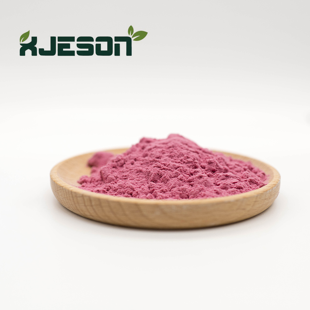 High Quality Aronia Berry Juice powder Wild Cherry Powder Spray Dried Cherry Powder