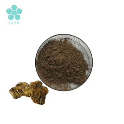 Food Grade Natural Bee Propolis Extract Powder