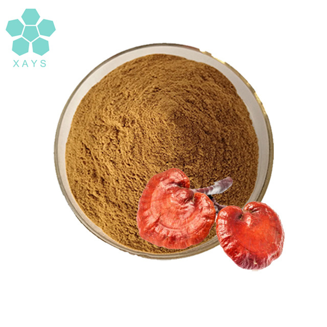 Organic reishi mushroom powder ganoderma lucidum extract reishi extract powder