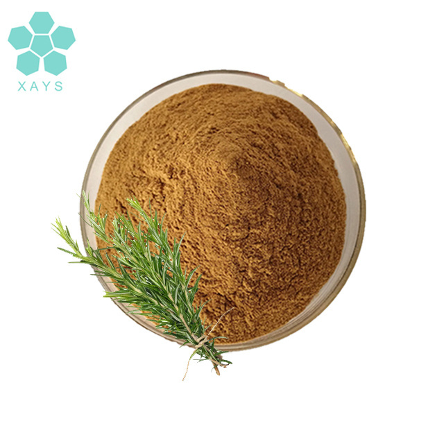 Natural rosmarinic acid rosemary leaf extract 10% rosmarinic acid