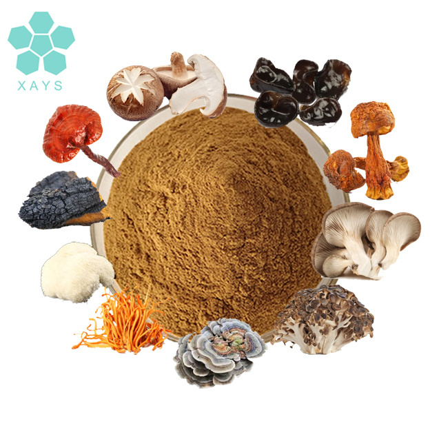 High quality 10 in 1 mixed mushroom powder extract mushroom mix powder