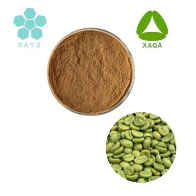 Youshuo(Quanao)Supply Arabica Green Coffee Bean Extract 50% Chlorogenic Acids Powder