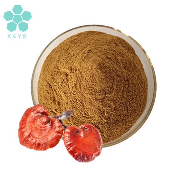 Organic reishi mushroom powder ganoderma lucidum extract reishi extract powder