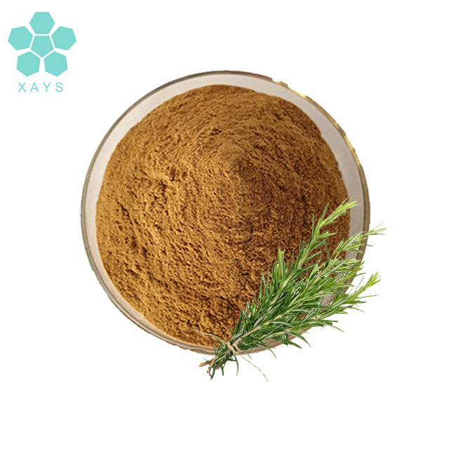 Natural rosmarinic acid rosemary leaf extract 10% rosmarinic acid