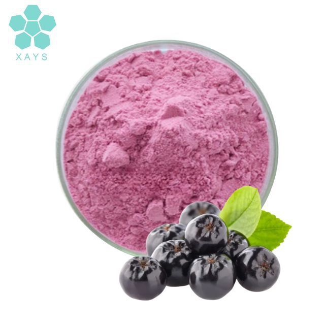 Natural pure aronia chokeberry powder aronia berry powder black aronia chokeberry powder