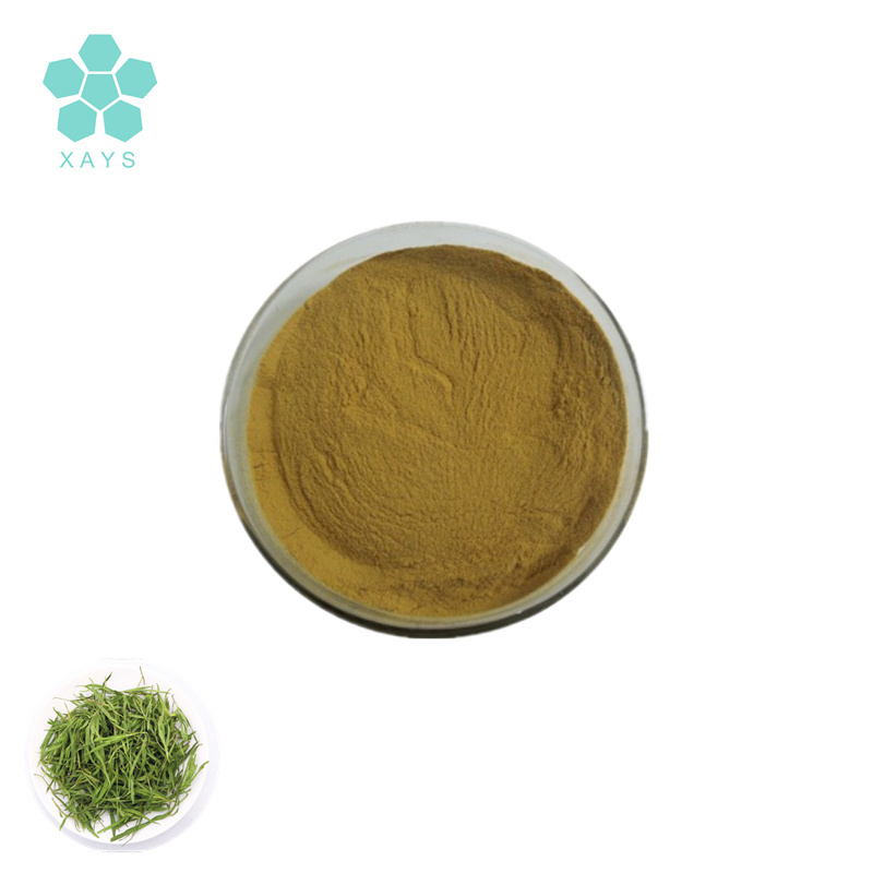 Youshuo Organic Bamboo Leaf Extract Powder