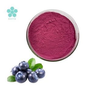 High Quality Water Soluble wild blueberry powder blueberry juice powder