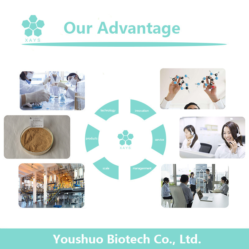 Youshuo Organic Bamboo Leaf Extract Powder