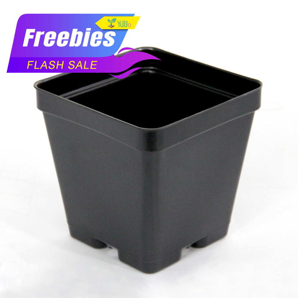 Black Color Plastic Flower Pots Planters Pot Trays Small Square Pots for Succulent plants