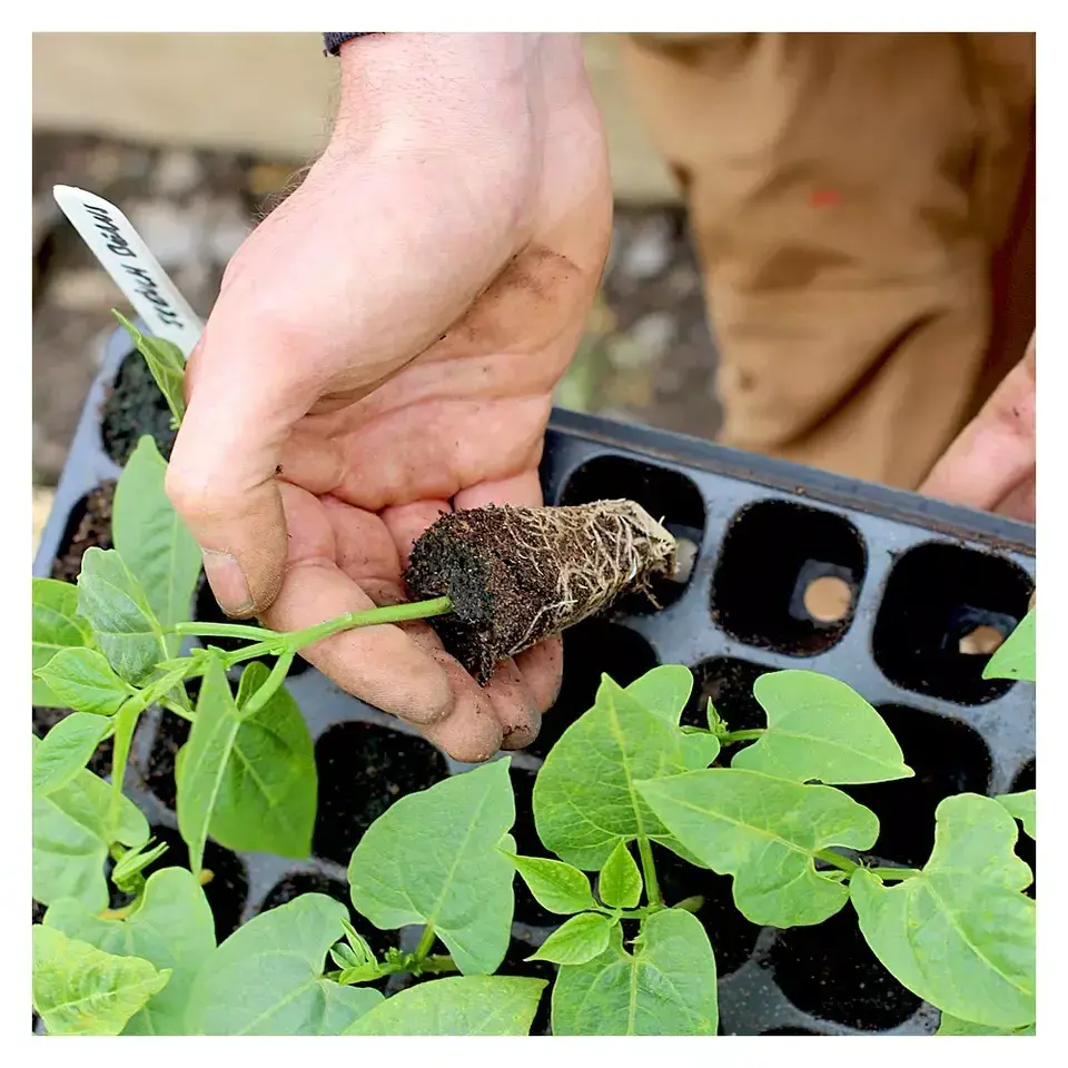 Wholesale durable 18-512 cell seed start growing germination tray plastic nursery plant tray