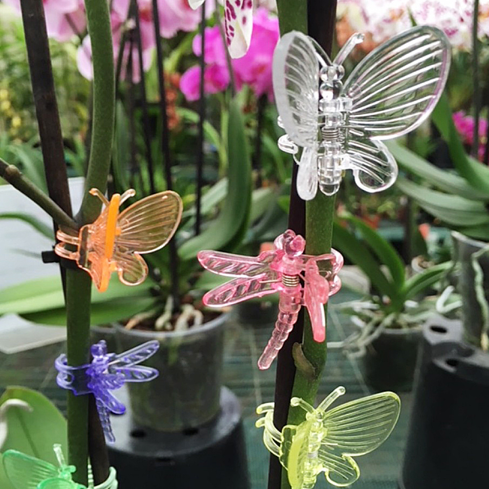 Garden supplies Butterfly Plastic Garden Plant Clips Orchid Clip Plastic Plant Support  Retaining Clips