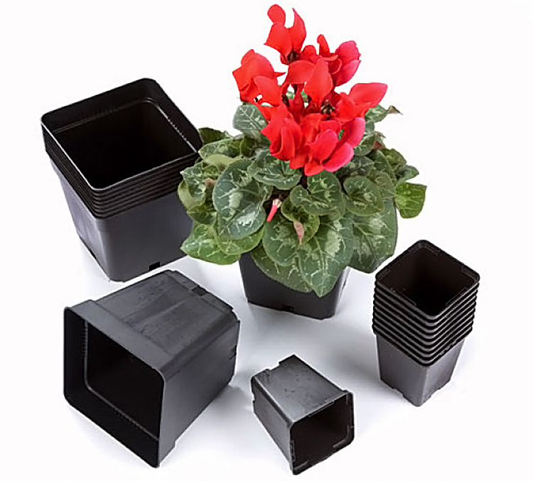 Black Color Plastic Flower Pots Planters Pot Trays Small Square Pots for Succulent plants