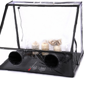 Wholesale Mini Greenhouse Mushroom Grow Tent Kit Spore Mycology Mushroom Still Air Box