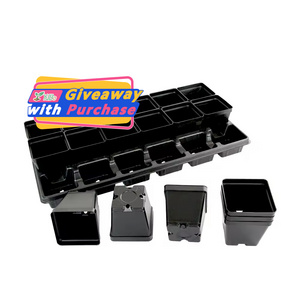 Black Color Plastic Flower Pots Planters Pot Trays Small Square Pots for Succulent plants