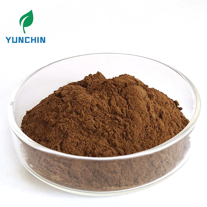 Botanical Dandelion Root Extract Food Grade Dandelion Extract Powder