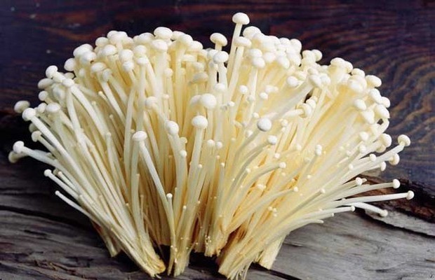 Bulk Mushroom Flammulina Velutipes Extract wholesale price Enoki  Mushroom Extract