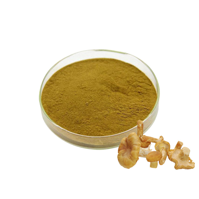 Organic bulk Chanterelle Mushroom Extract Polysaccharides Powder