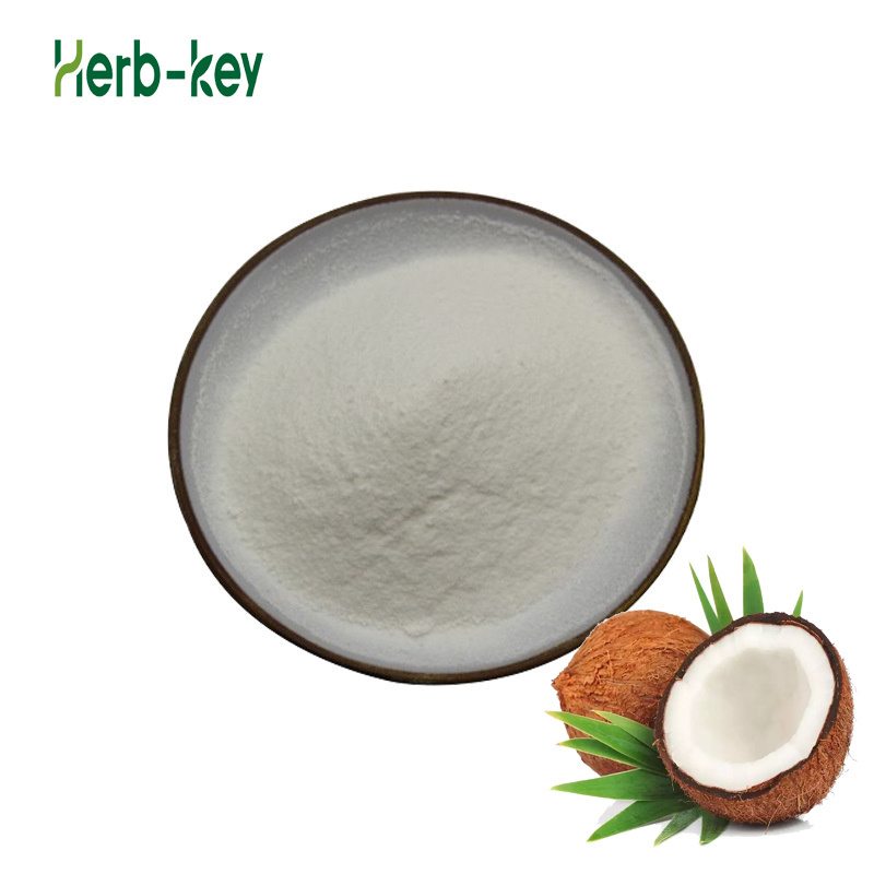 Supplier Wholesale Organic Coconut Milk Powder Bulk Coconut powder