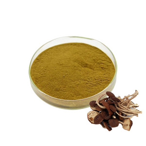 Factory Price Tea Tree Mushroom Extract Polysaccharides Powder Agrocybe aegerila Extract