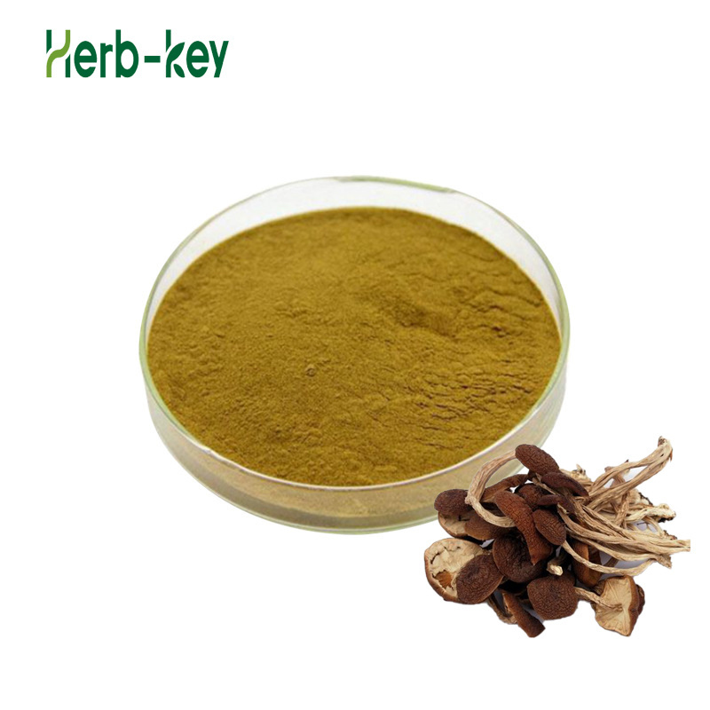 Factory Price Tea Tree Mushroom Extract Polysaccharides Powder Agrocybe aegerila Extract