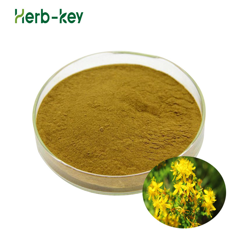 Supply Hypericum Perforatum Extract  Hyperforin 0.3% Hypericin St John s wort Extract