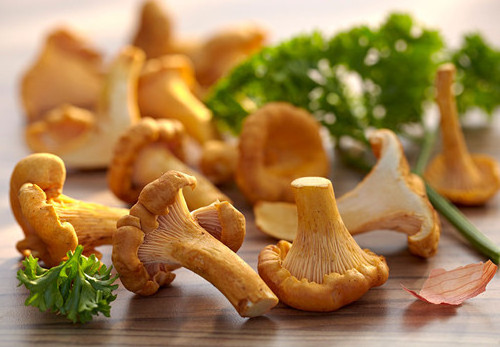 Organic bulk Chanterelle Mushroom Extract Polysaccharides Powder