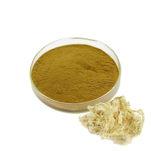 Bamboo Shavings Extract Bamboo Shaving Powder