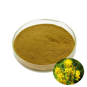 Supply Hypericum Perforatum Extract  Hyperforin 0.3% Hypericin St John s wort Extract