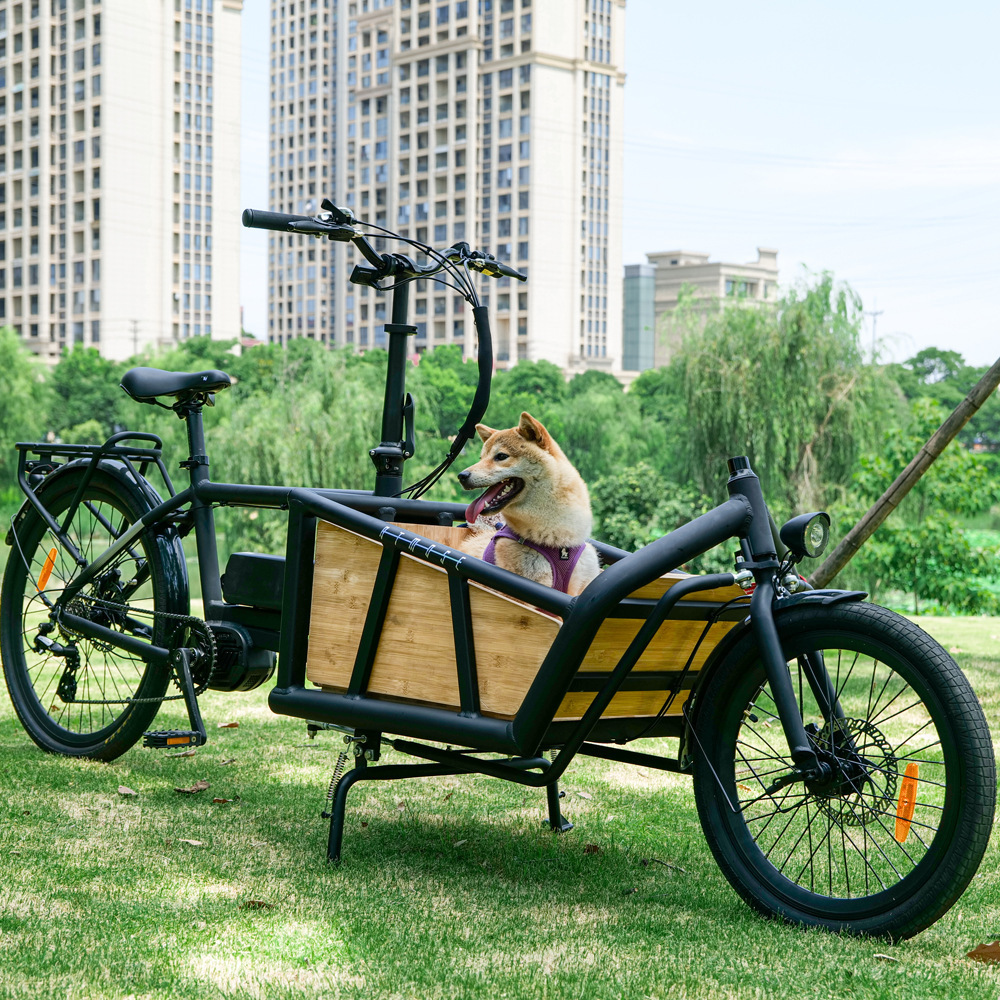 Customized Factory Wholesale Adult Electric Two-wheeled Electric Bicycle 500W Electrical Bike Trailer Cargo