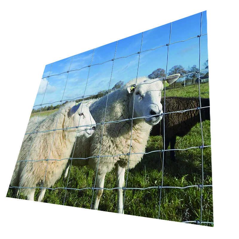 Highly durable and very easy to use Keystone Steel & Wire 48 x 330 feet 4 x 4 Fencing galvanized sheep & goat field fence